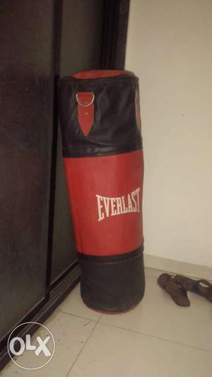 Ever last leather punching bag