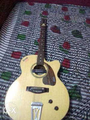 Givson guiter with bag very good condition