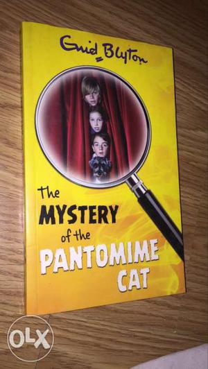 The Mystery Of The Panthomime Cat Book