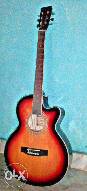 Warner Acoustic Guitar Originally
