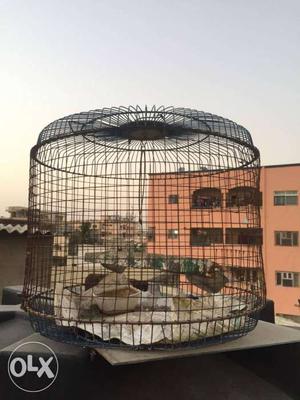 2 big bird cages in good condition urjent to sale