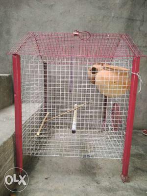 Australian bird cage (Pinjra)