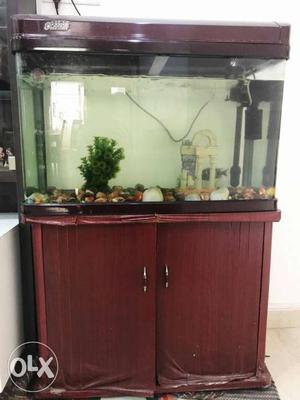 Clear fish tank 2yrs old