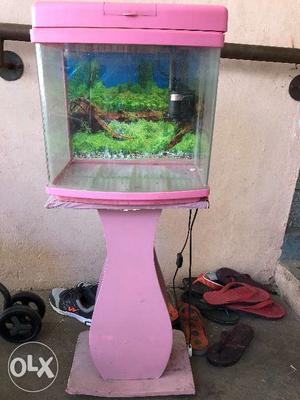 Fish acquarium with a pretty pink stand, fitted