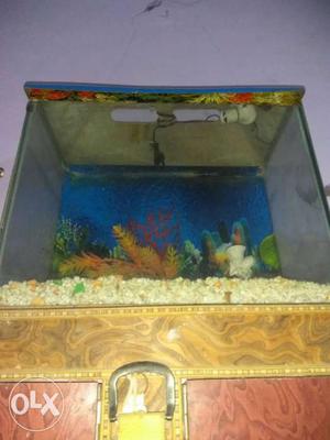 Fish aquarium with water toys, plants,
