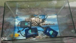 Fish tank and 3 oksejan