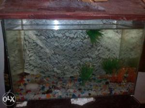Fish tank for sale urgent it also including