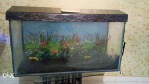 Fish tank size 3 feet long. with fiber cover..