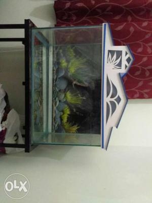 One week used Fish tank with top and stand