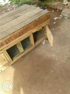 Only Bird Cage