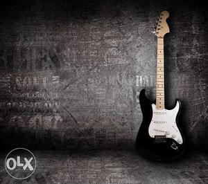 Black And White Stratocaster Electric Guitar