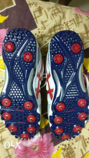 Blue-and-red Asics shoes New Size 8 uk