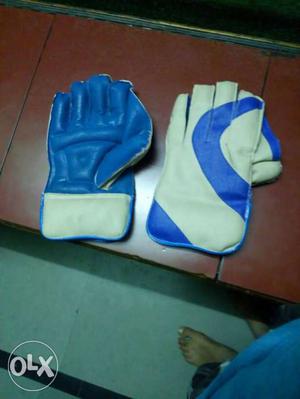 It s the only wicket kipping gloves I brought it