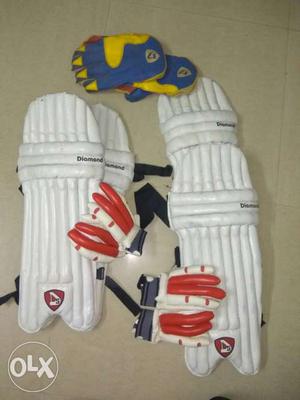 Pair Of Goalie Pad And Gloves