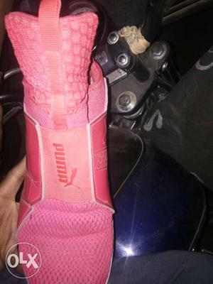 Pink Puma Shoe