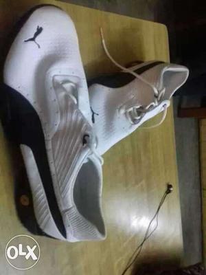 Puma 12 uk all new shoes need to sell fast