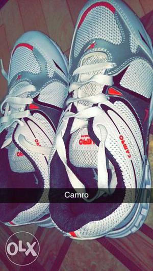 Shoes. camro brand.