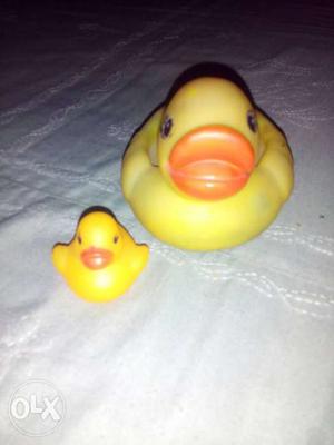 Two Rubber Ducks