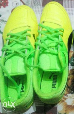 Yellow-and-green Puma Athletic Shoes. 11Number Fresh pcs