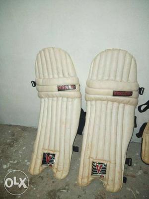 2 set pads & 1 Kashmir willow bat used..price