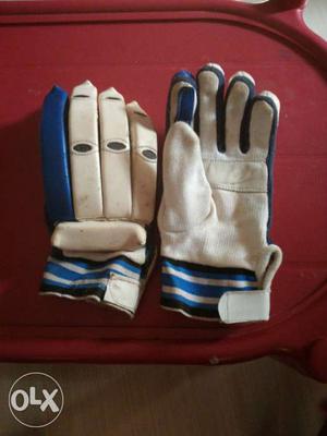 Cricket batting gloves