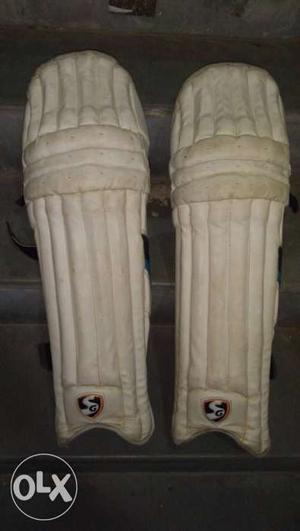 Cricket pads and Thai and elbow and wheel bag