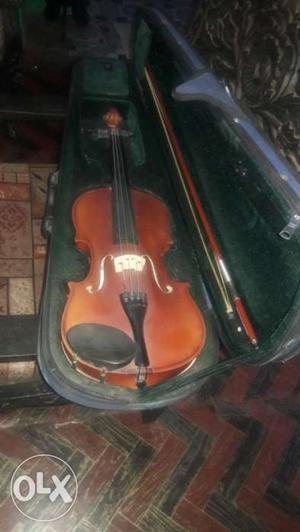 Granda Violin Vth Case Not Used Much
