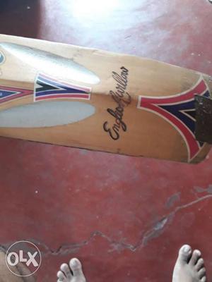 Original English Willow Bdm Amazer Cricket Bat