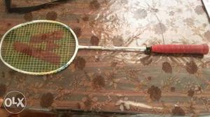 Ashaway badminton perl