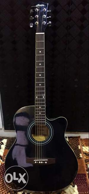 Black Hertz Guitar