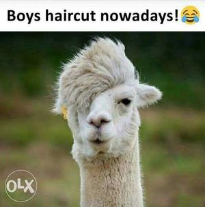 Boys Haircut Nowadays Text