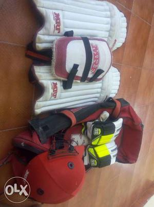 Full Cricket kid with new ss gloves MRF kid with