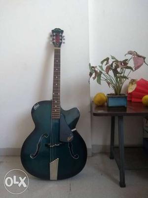 Never used brand new Hobner Guitar with bag and a