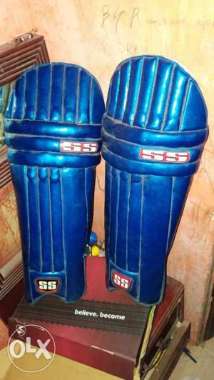 Ss Youth Size Leg Pad Blue Colour.
