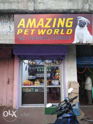 Amazing Pet World Store Front