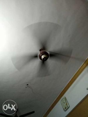 Black 4-bladed Ceiling Fan and one 3 bladed fan