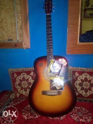 Acoustic Guitar with Guitar strings