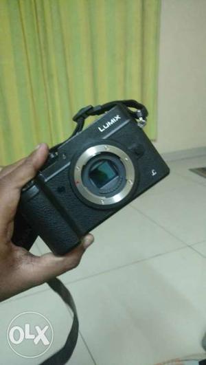 Panasonic gx8 with pixco speed booster the