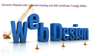 Website Design with unlimited Hosting and SSI