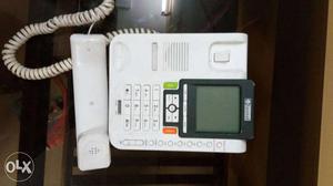 White IP Telephone