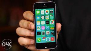 Apple Iphone 5s, 16gb at offer price