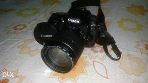 Canon 80D with  nano USM lens 10 months