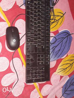 Dell keyboard and hp mouse in perfect cibdition