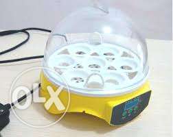 Mini egg incubator, small egg incubator, 7 egg