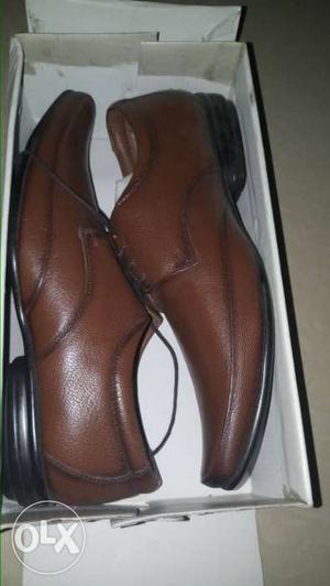Pair Of Brown Leather Dress Shoes With Box