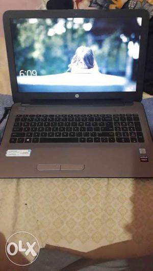 1 year old hp notebook in extremely good condition