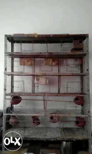 6 feet steel cage and 2 other cage