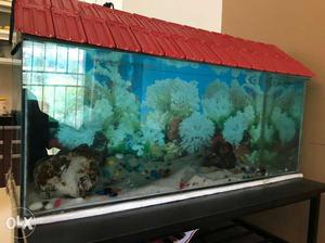 A beautiful ()feet aquarium with SOBO