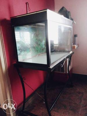 Big size aquarium for sale with stand