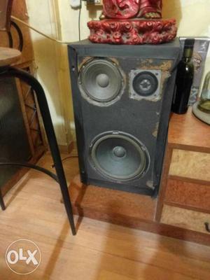 Cosmin Amplifier with dual speakers and equalizer